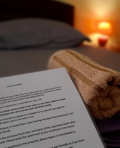 Retro Center アパート オパティヤ